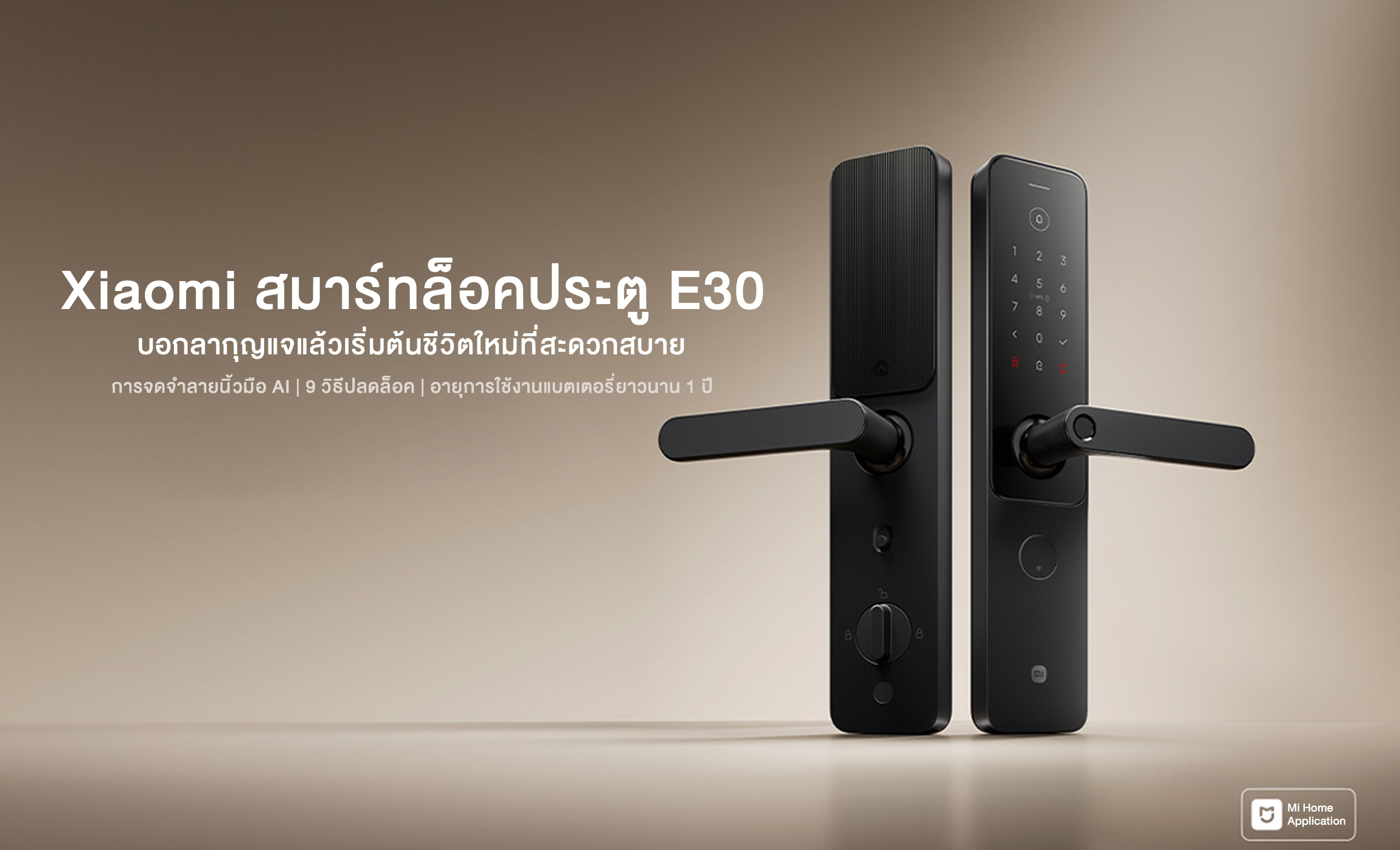 xiaomi smart lock E30